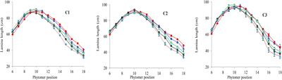 Characterization of the Effect of Increased Plant Density on Canopy Morphology and Stalk Lodging Risk